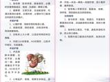 胆囊结石
