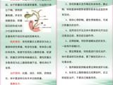 胆囊炎、胆石症