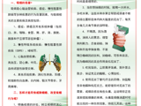 吸烟与健康