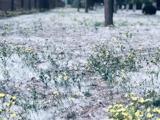 阿阿阿阿阿…阿嚏！花粉过敏该怎么办？