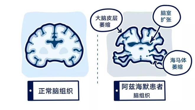 下载 (1)