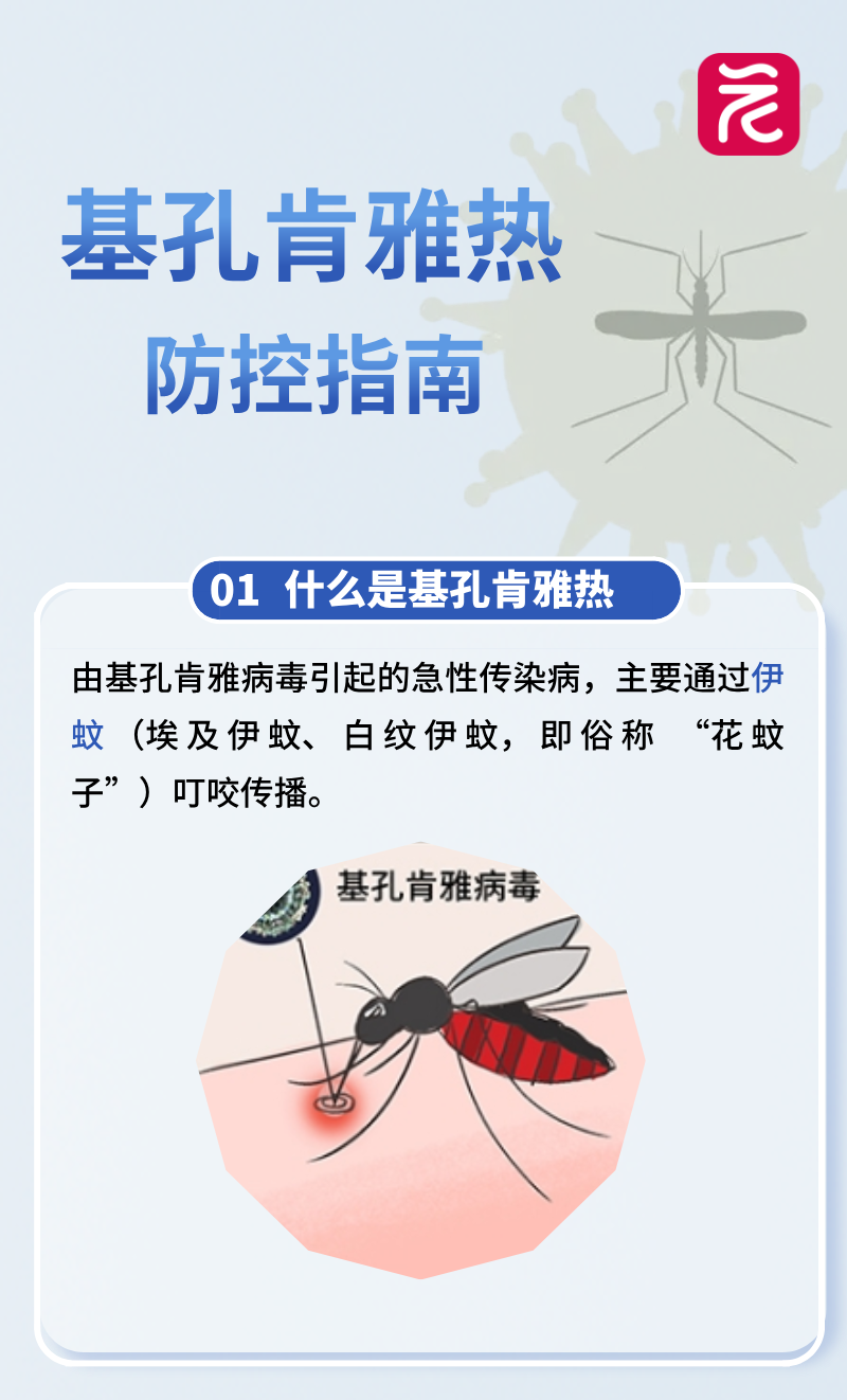 微信图片_20250725165212