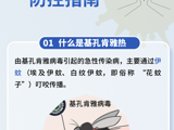 基孔肯雅热、登革热防控指南